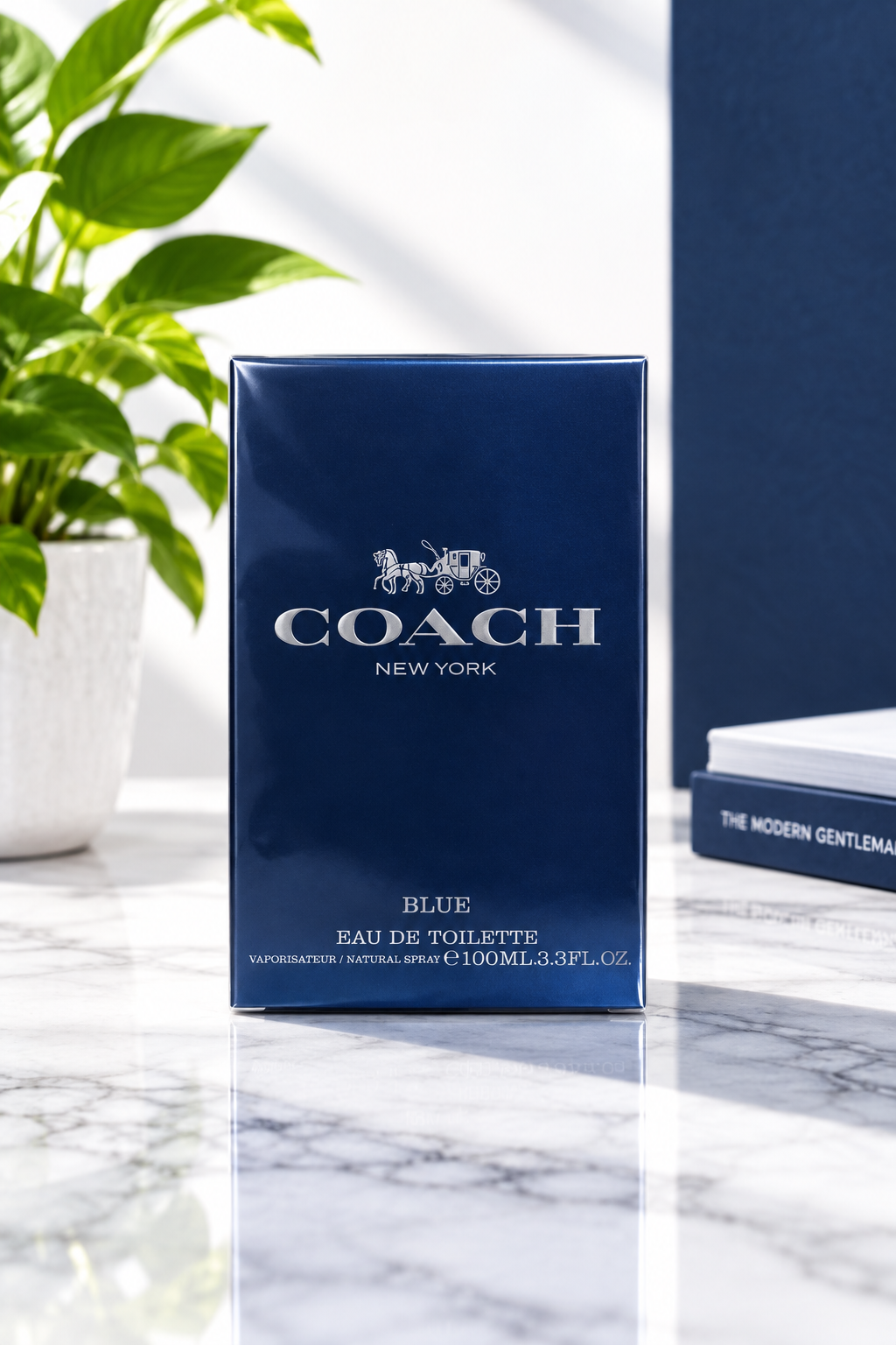 COACH NEW YORK BLUE